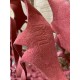 Le grand sac filet en croute de cuir rouge framboise par MMLL